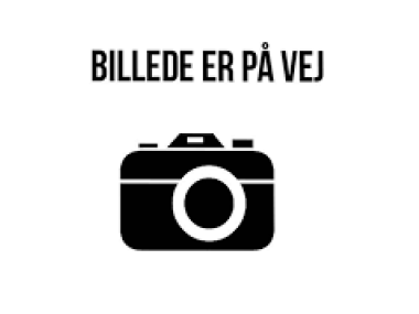 Dagplejen Dagtilbud Øst